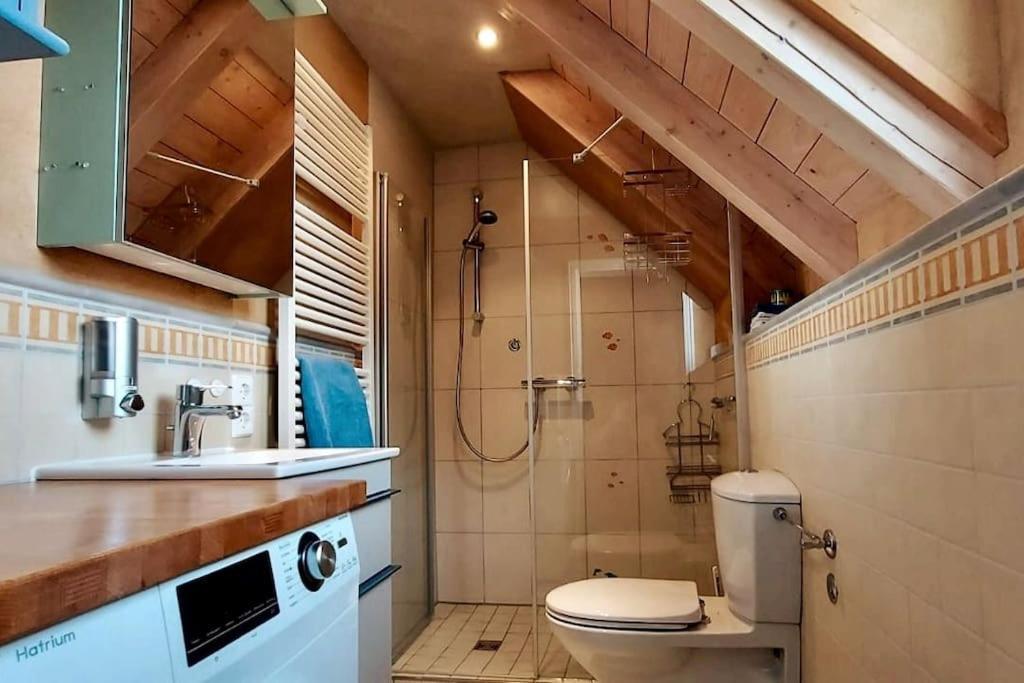 Gemuetliche Ferienwohnung Auf 2 Etagen Mit Dachterrasse Wangen im Allgäu المظهر الخارجي الصورة