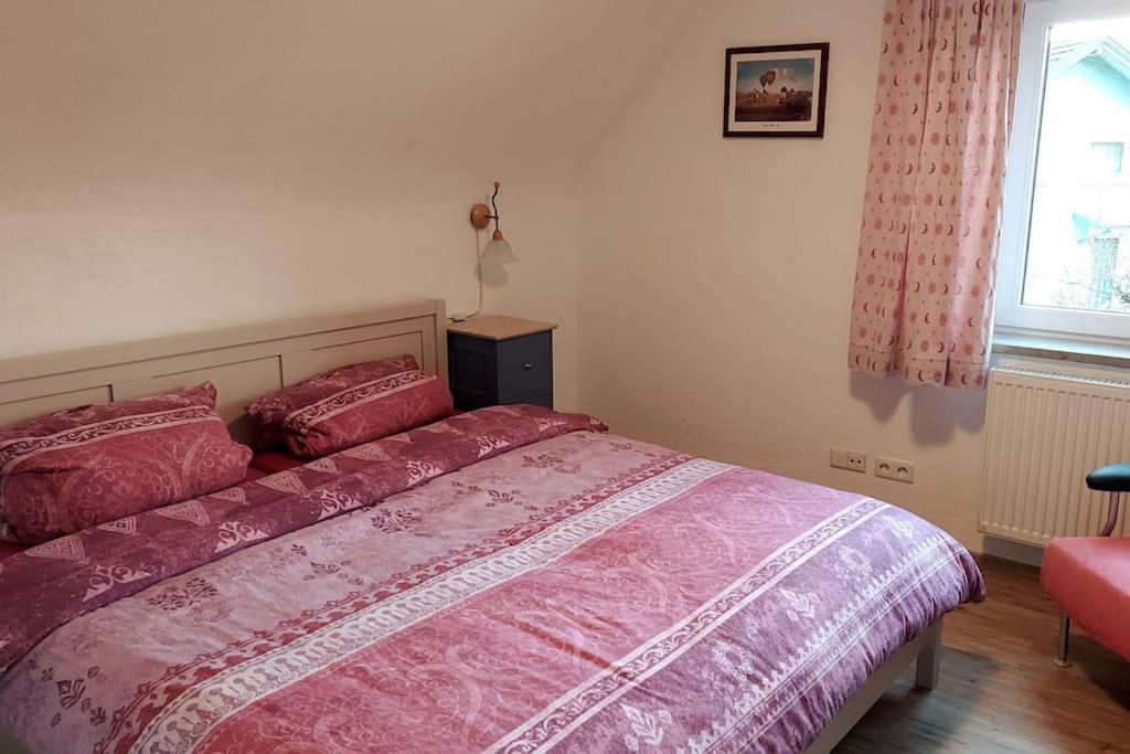 Gemuetliche Ferienwohnung Auf 2 Etagen Mit Dachterrasse Wangen im Allgäu المظهر الخارجي الصورة